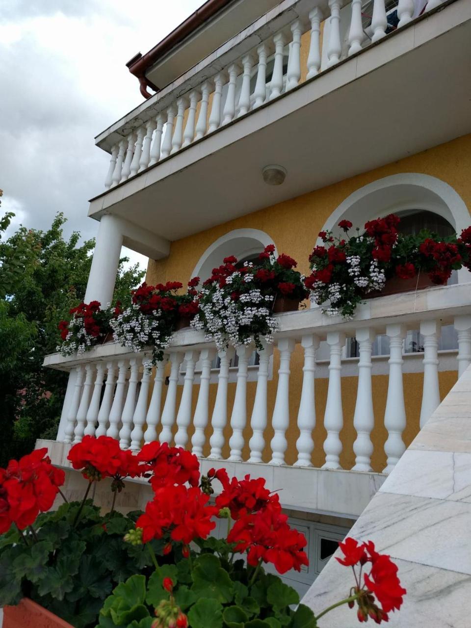 ホテル Casa Monica Băile Felix エクステリア 写真
